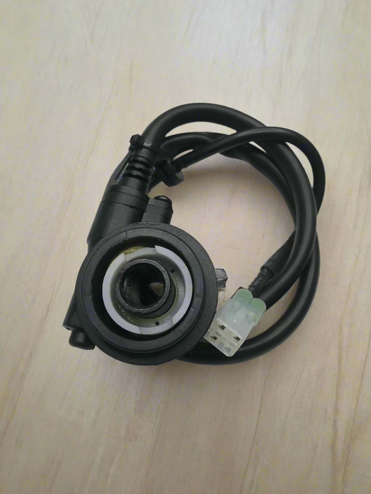 METER WORM FOR PULSAR 135 LS 150