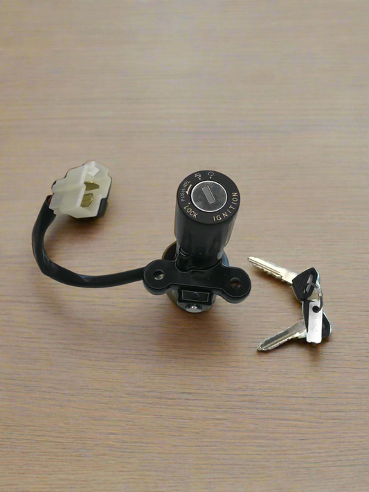 IGNITION LOCK / HANDLE LOCK FOR PULSAR 150 / XCD 135