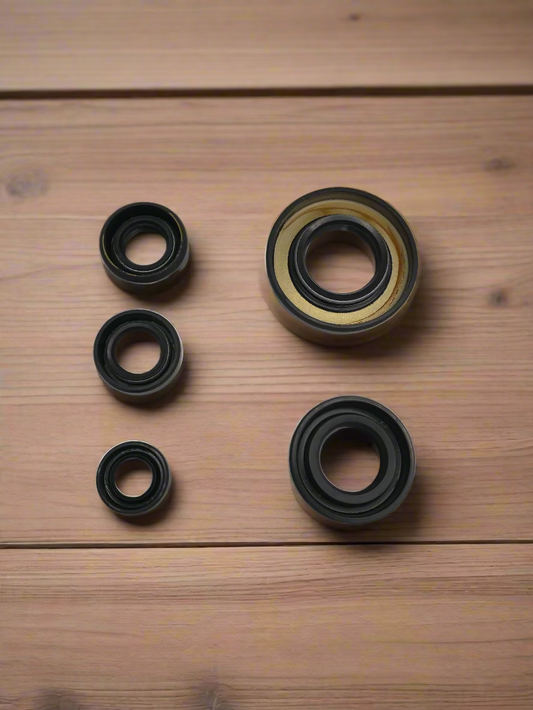 SEAL KIT FOR TVS APACHE RTR 160 180 2V 2010 - 2017