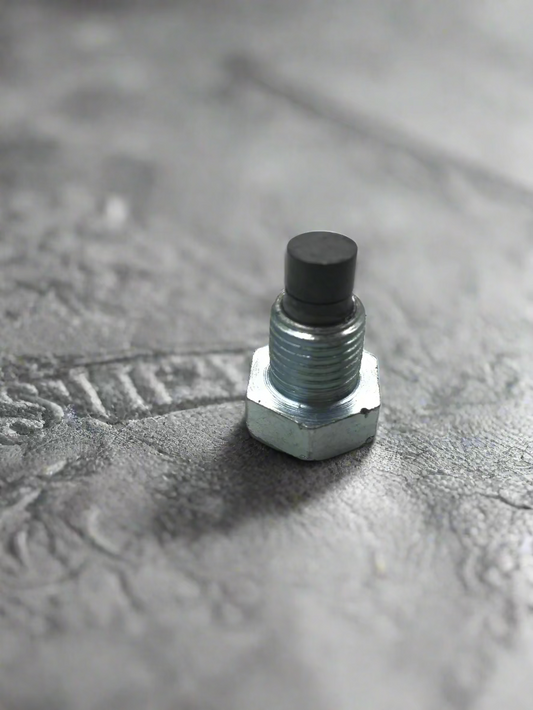 OIL BOLT FOR APACHE RTR 160 180 WITH MAGNET