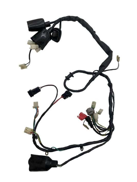 WIRING HARNESS FOR CBZ EXTREME 2011 OLD ES