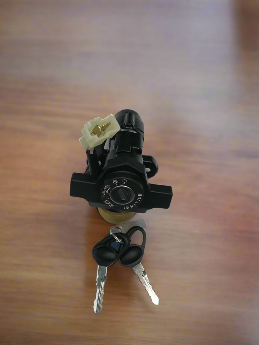IGNITION LOCK FOR PLATINA ES BS4 2 PIN SHOCKET