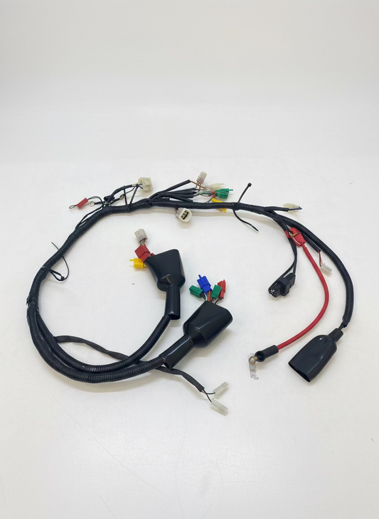 WIRING HARNESS FOR DISCOVER 135 2009 ES DIGITAL METER MODEL